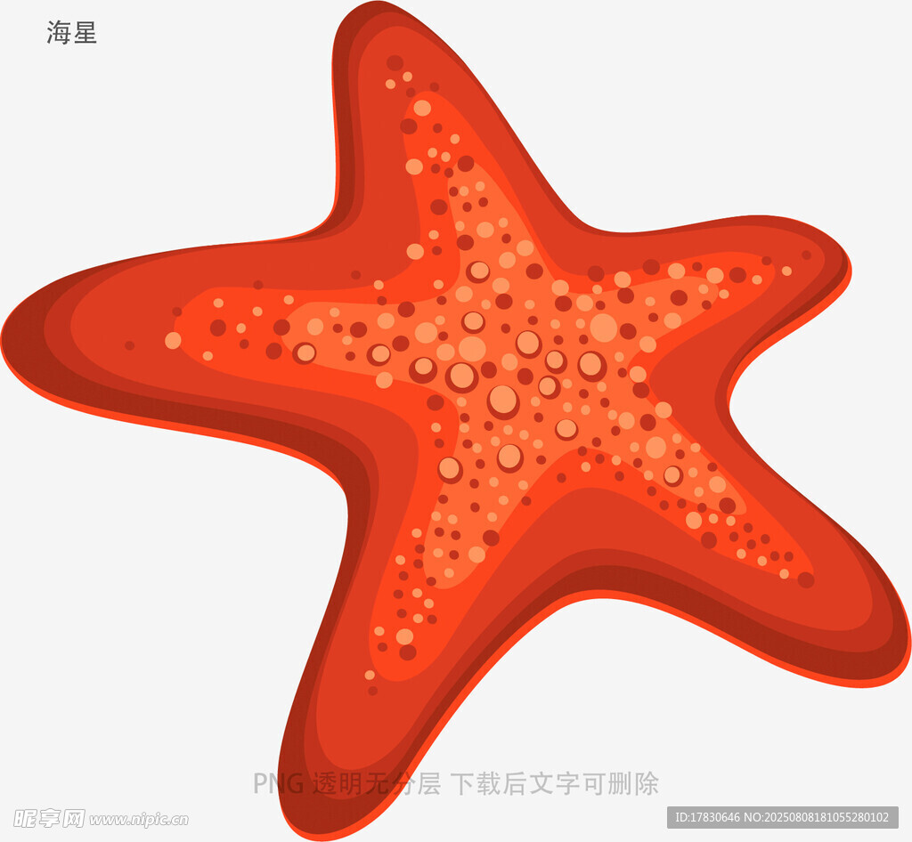海星