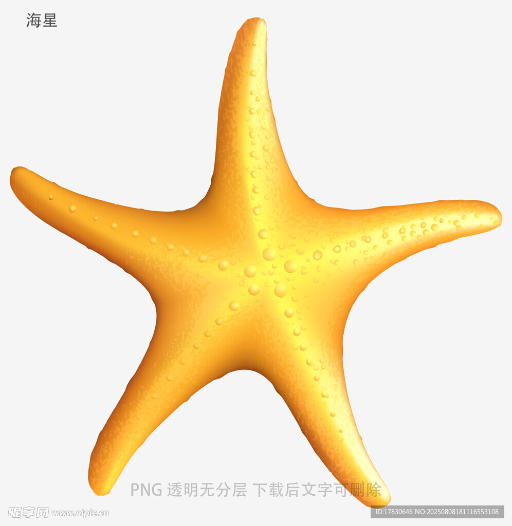 海星