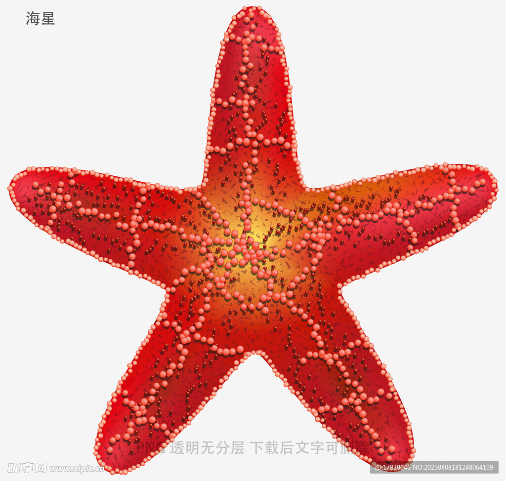 海星
