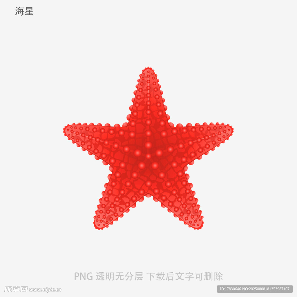 海星