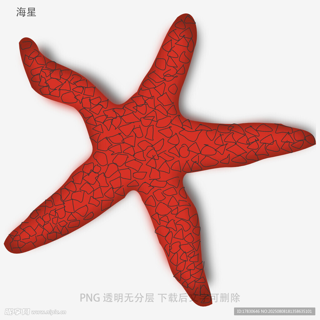 海星