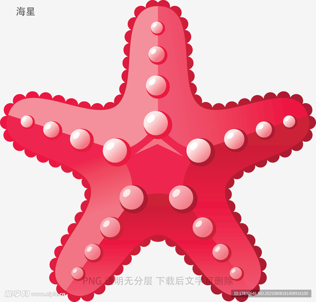 海星