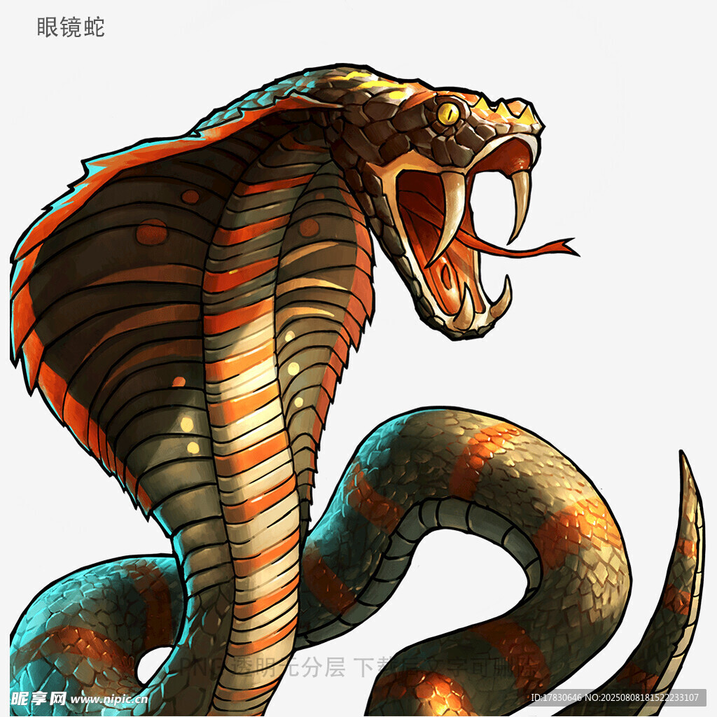 眼镜蛇