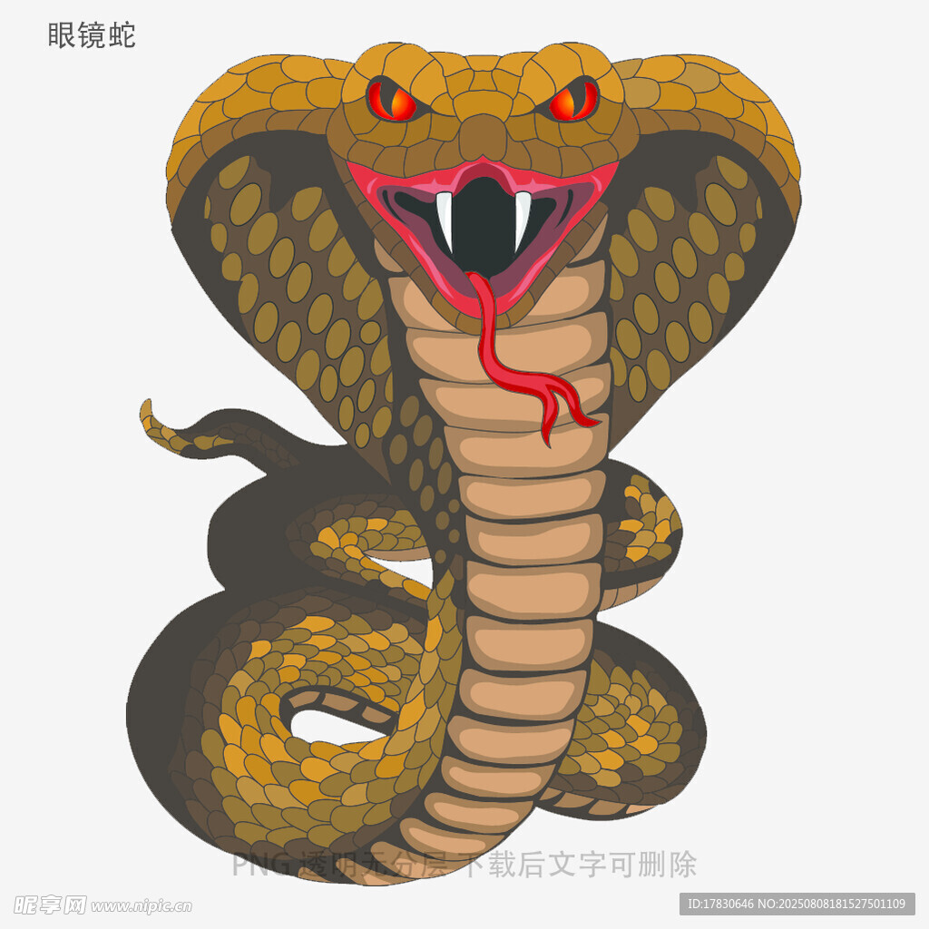 眼镜蛇