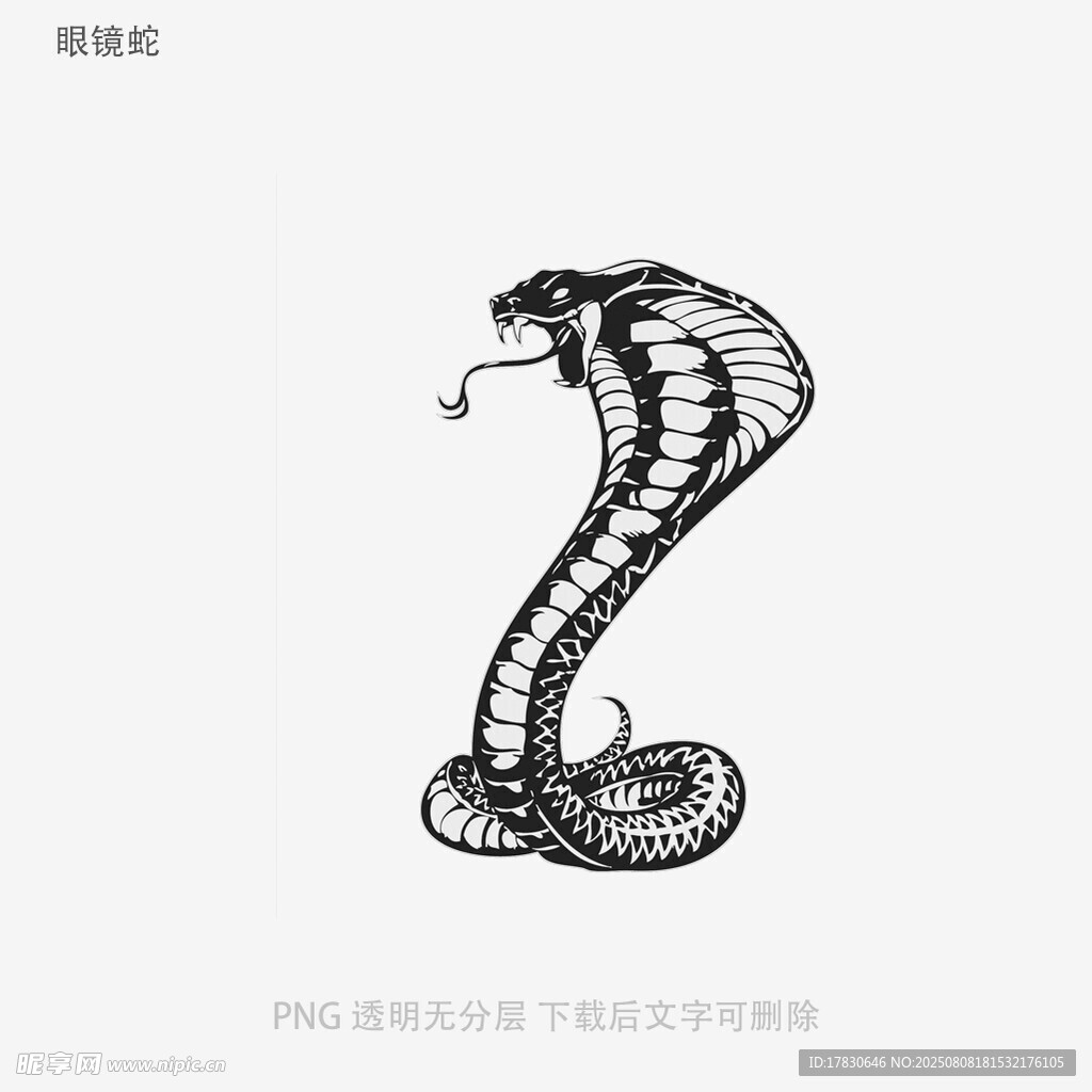 眼镜蛇