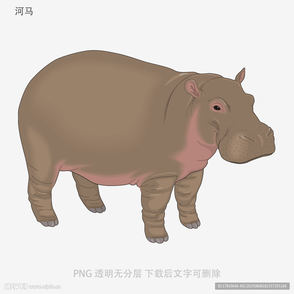 河马