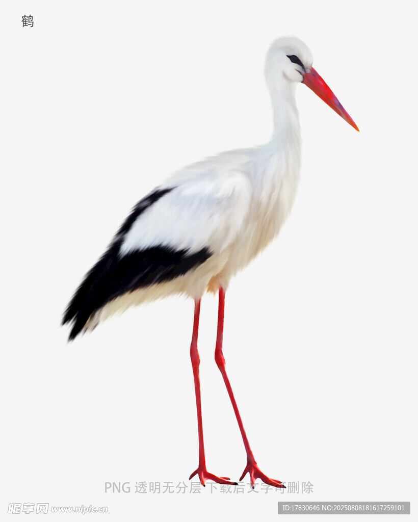 鹤