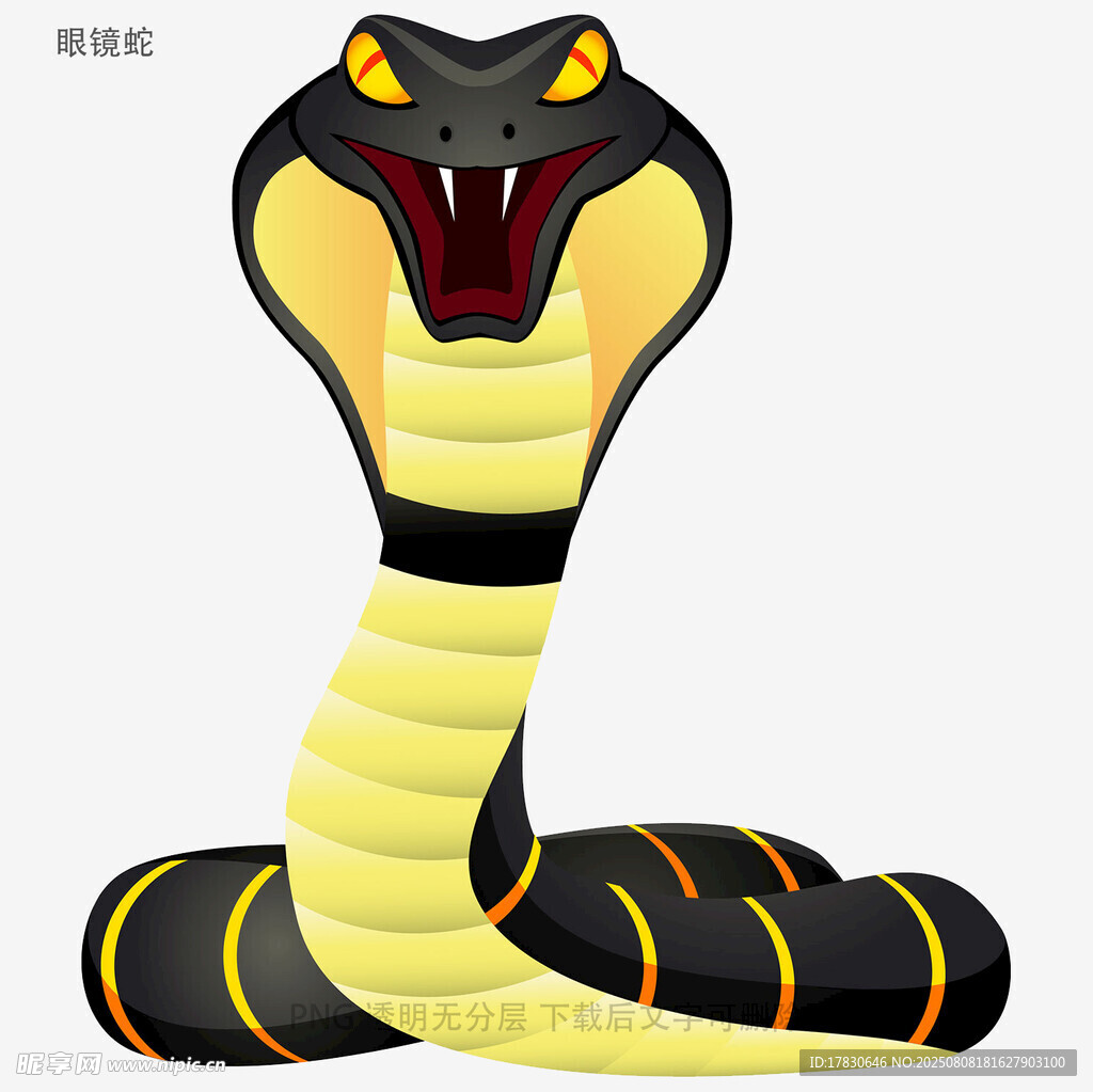 眼镜蛇
