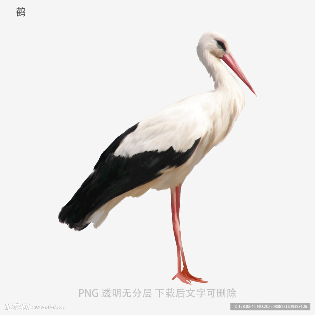 鹤