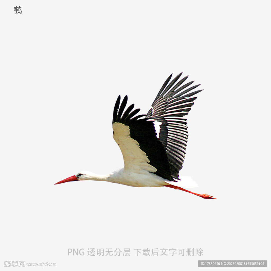 鹤