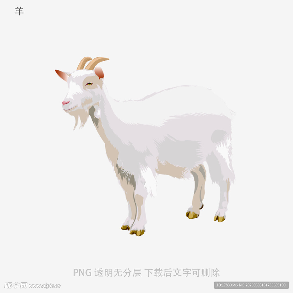 羊