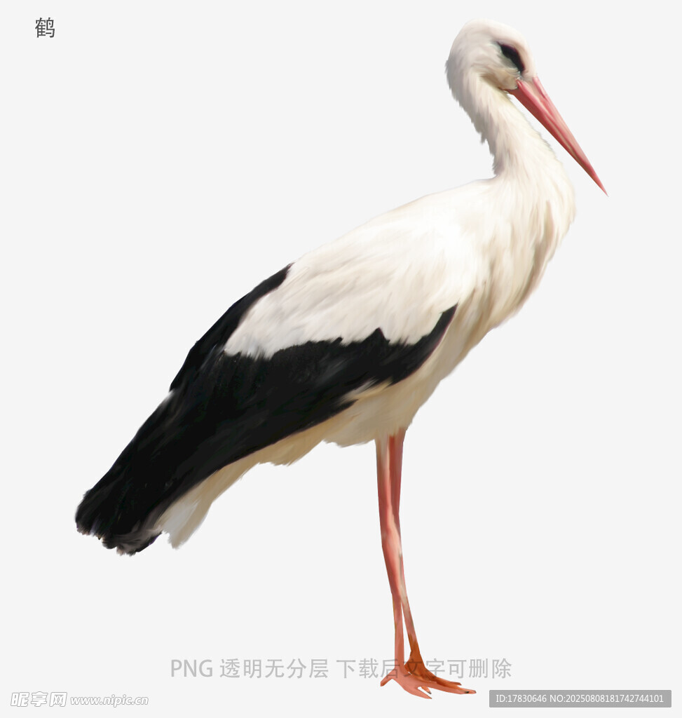 鹤