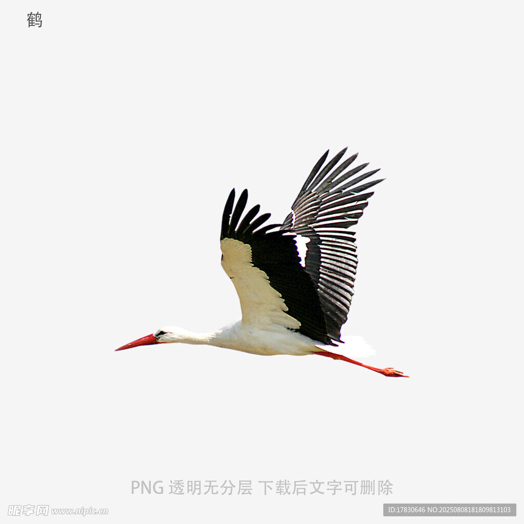 鹤
