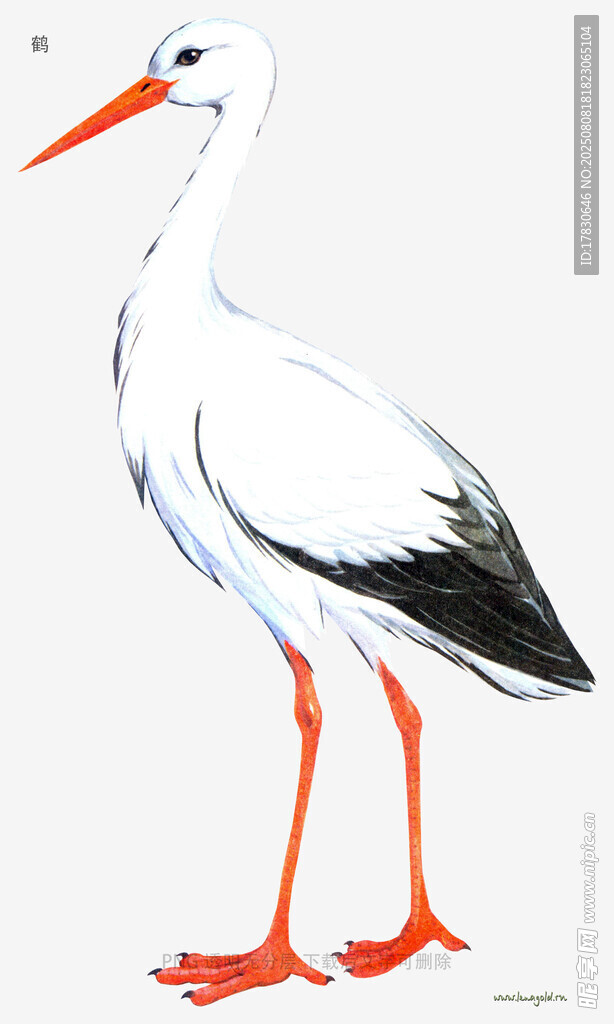 鹤