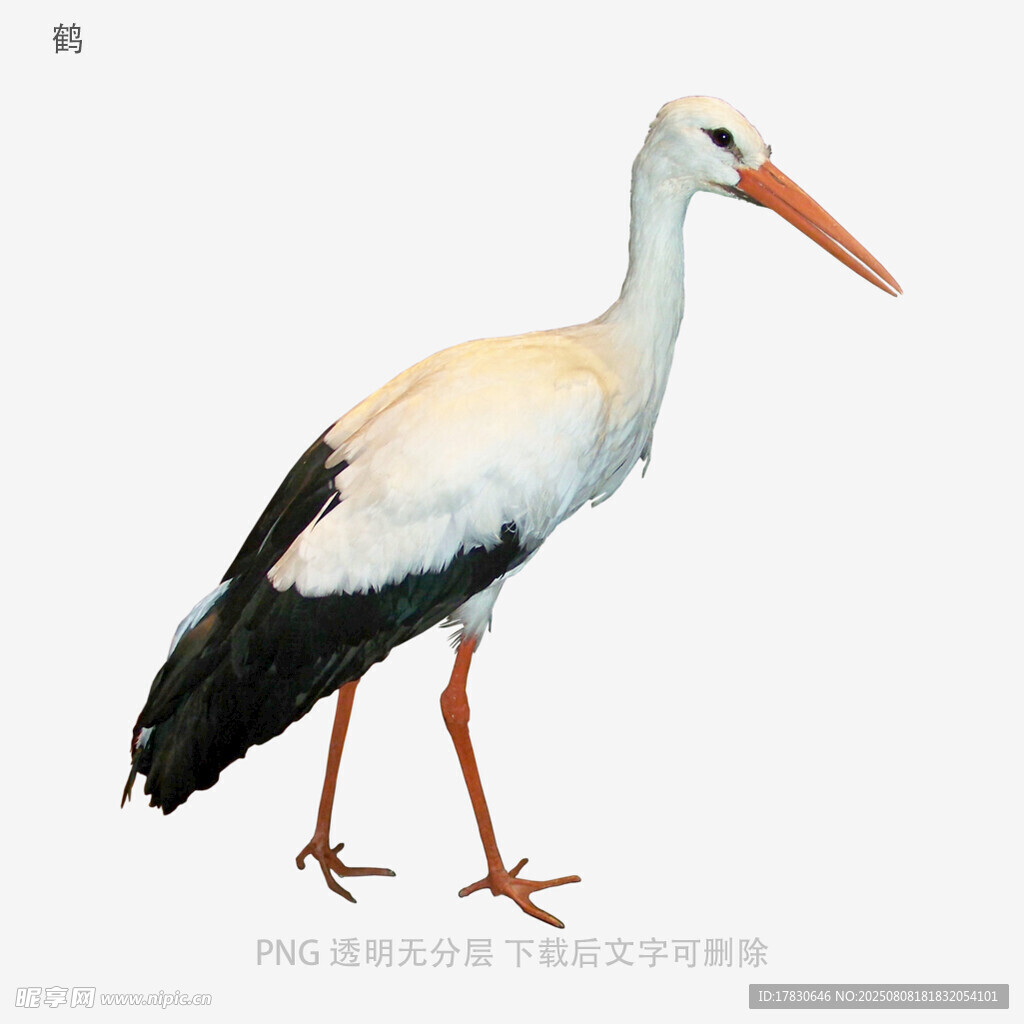 鹤