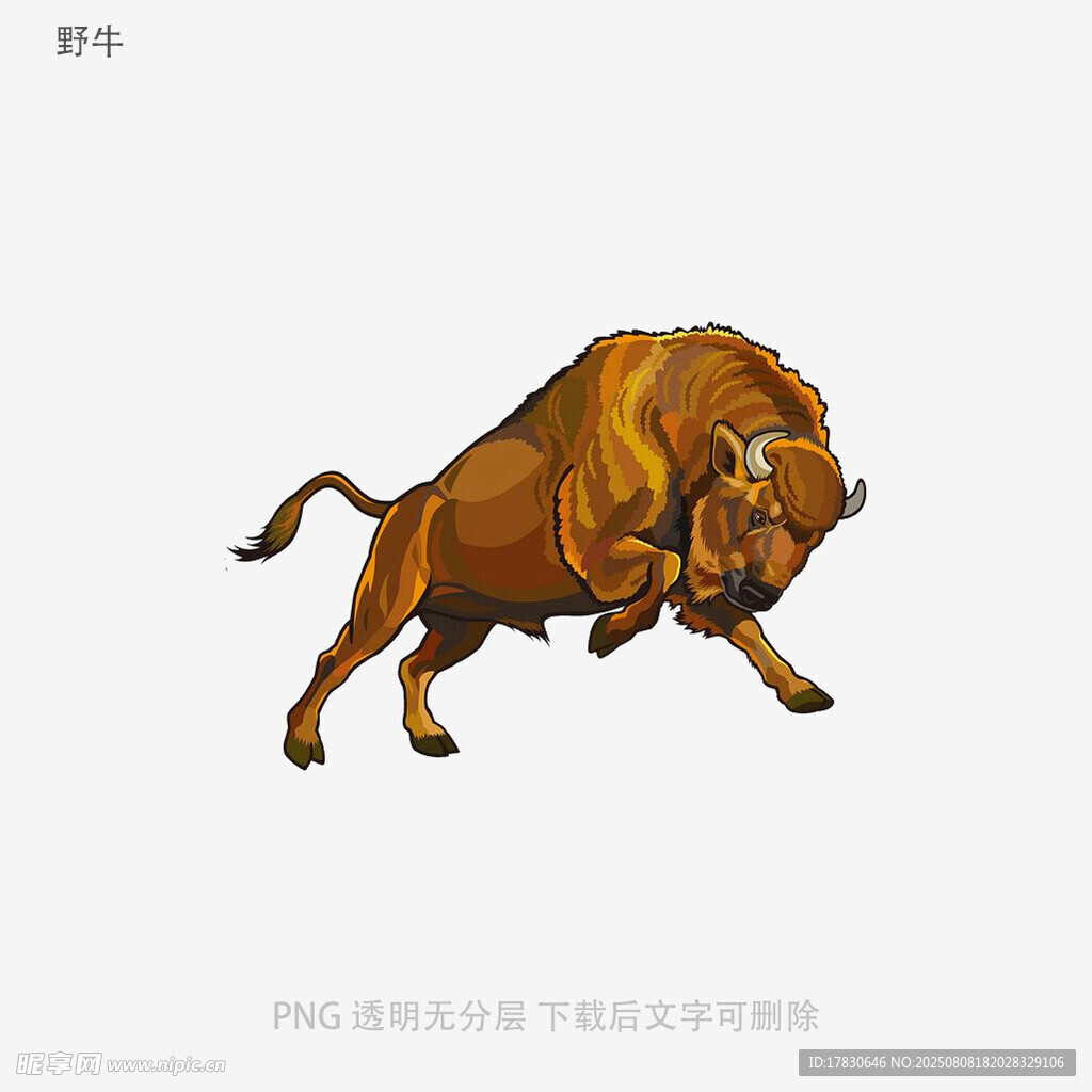 野牛