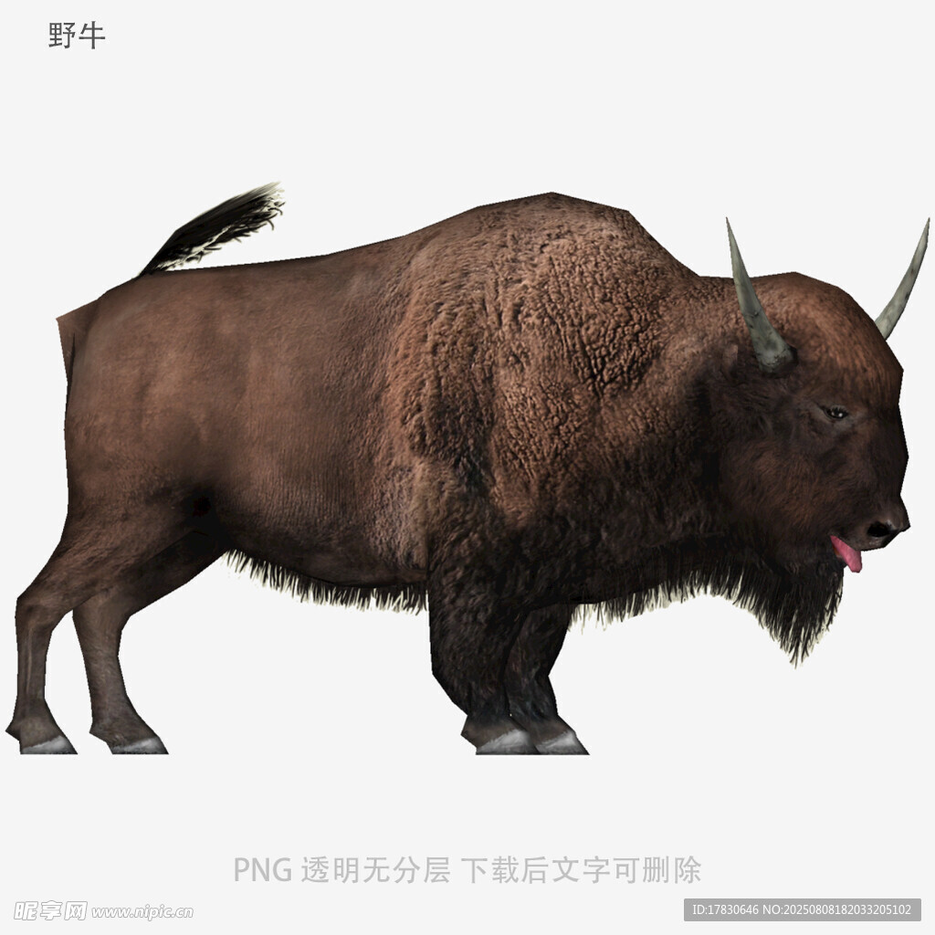 野牛