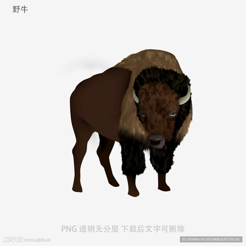 野牛