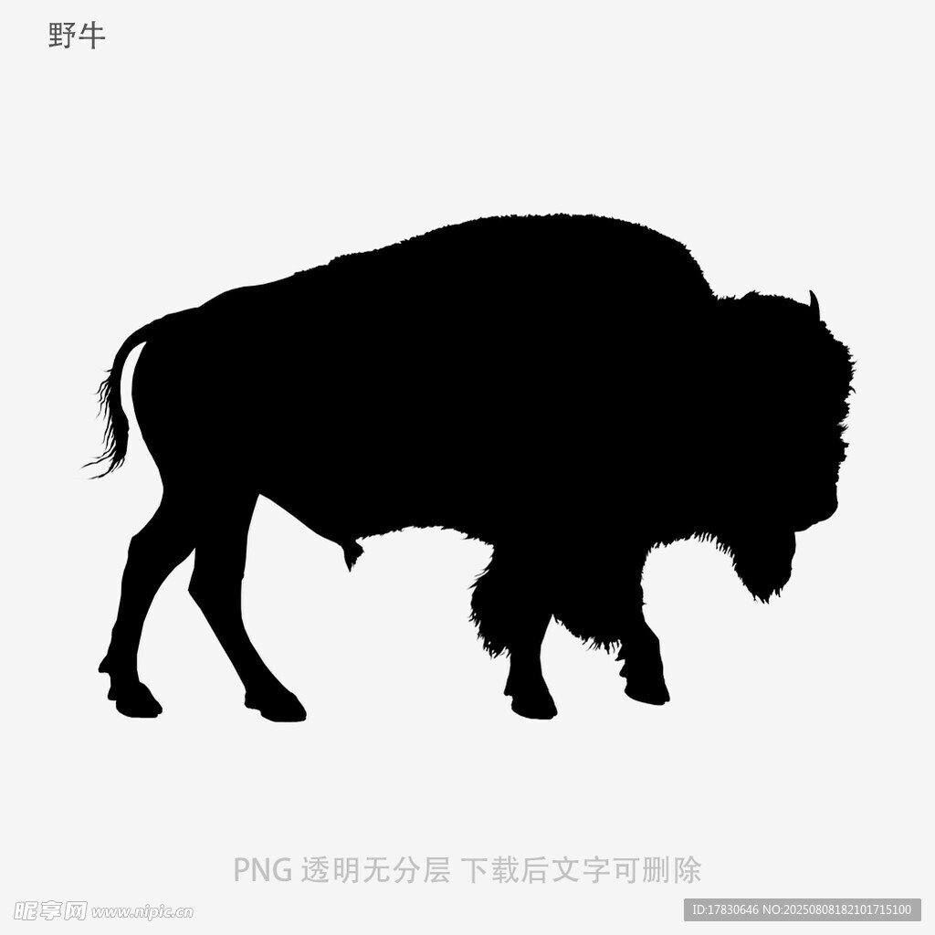 野牛