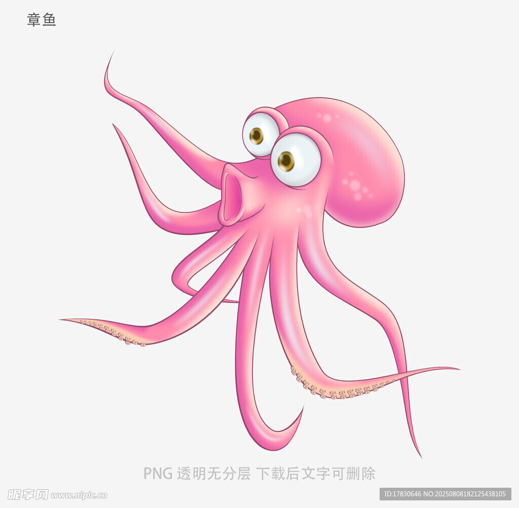 章鱼