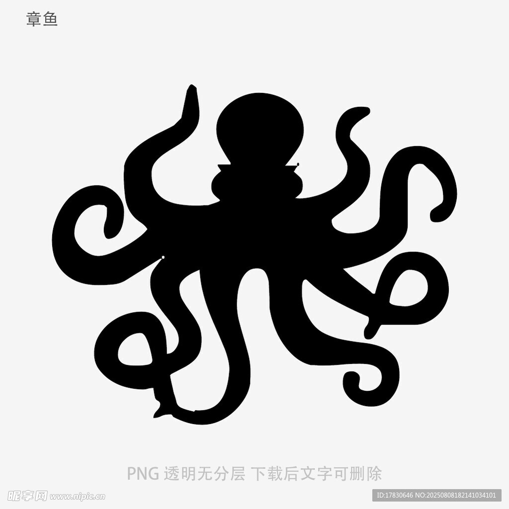 章鱼