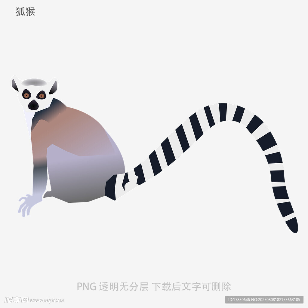狐猴