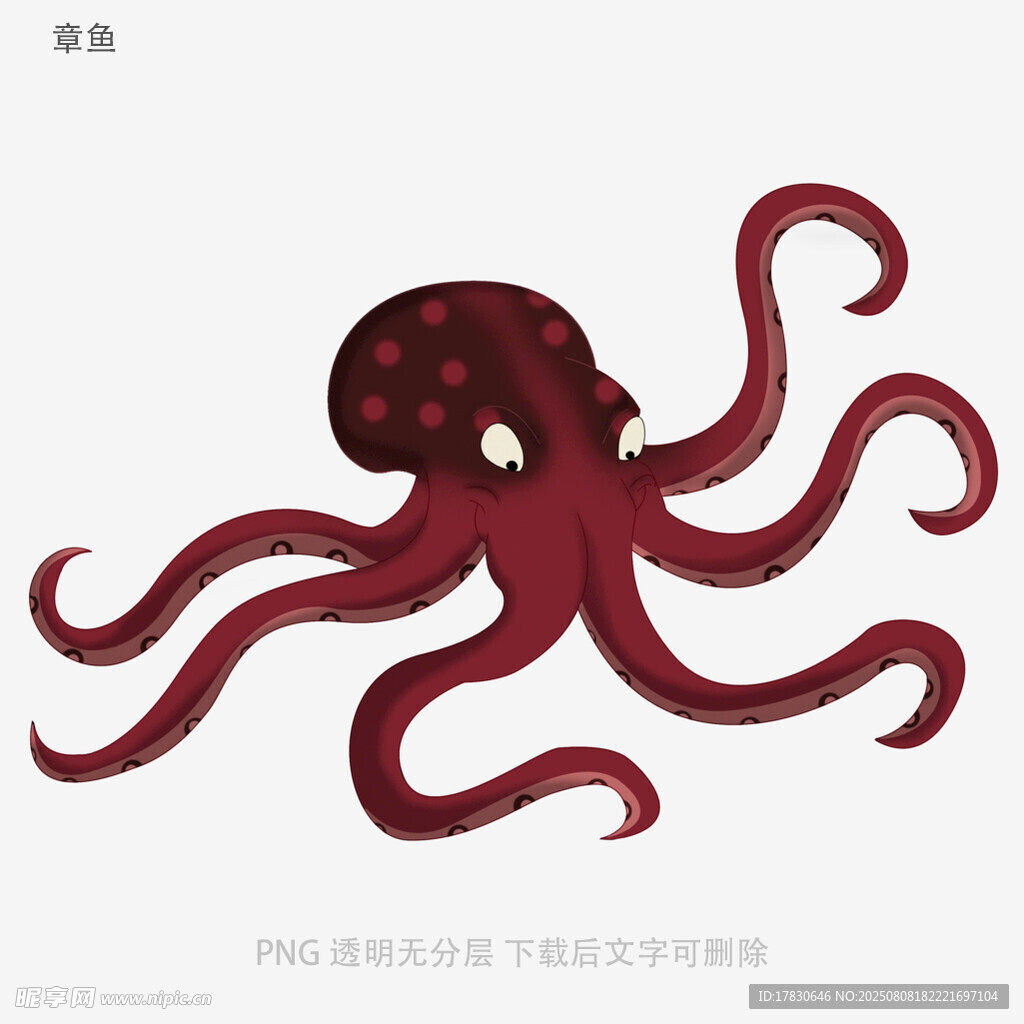 章鱼