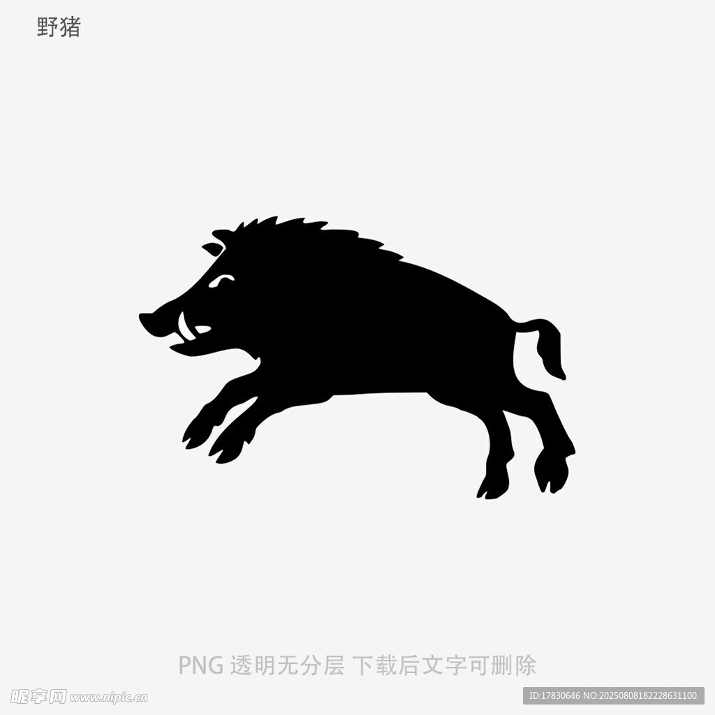 野猪