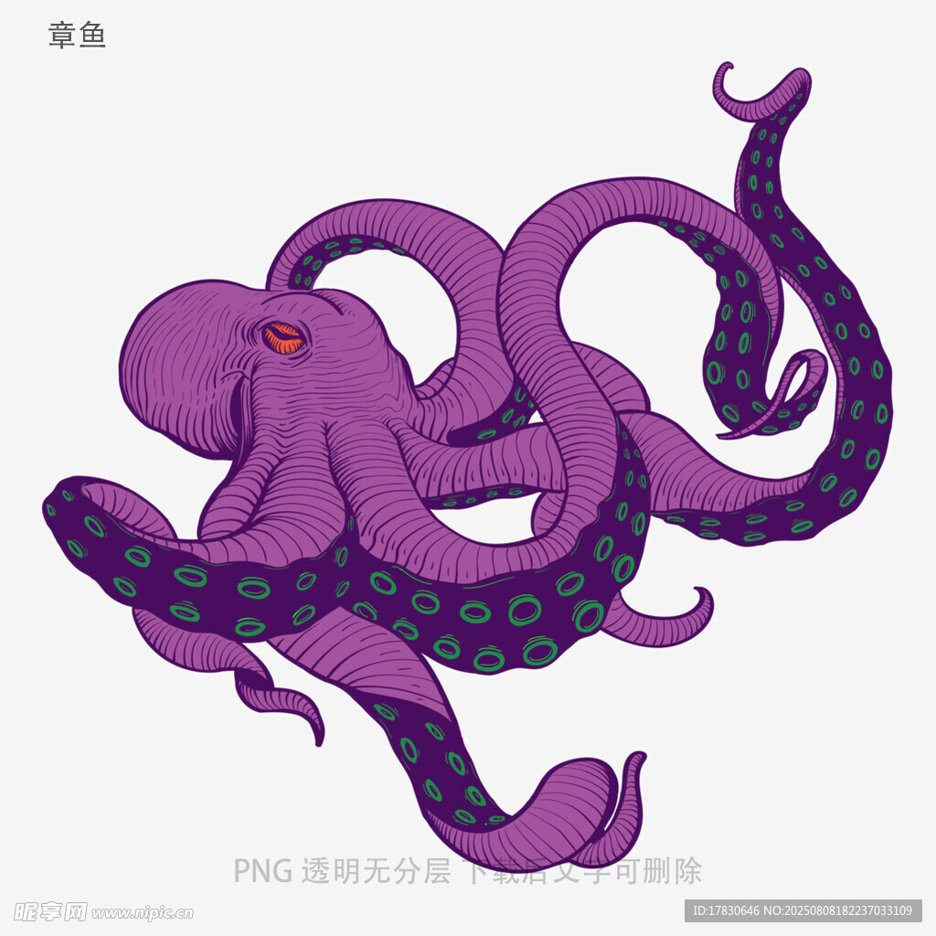 章鱼