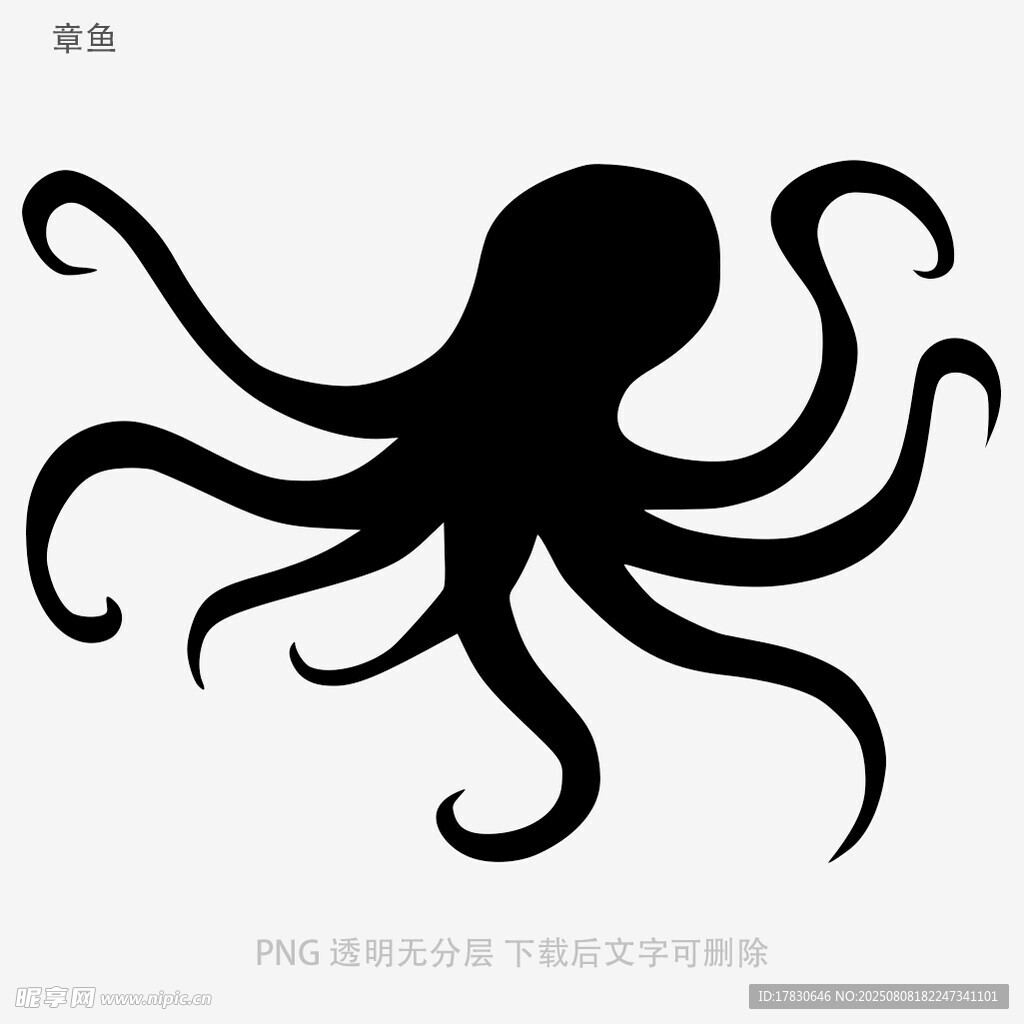 章鱼