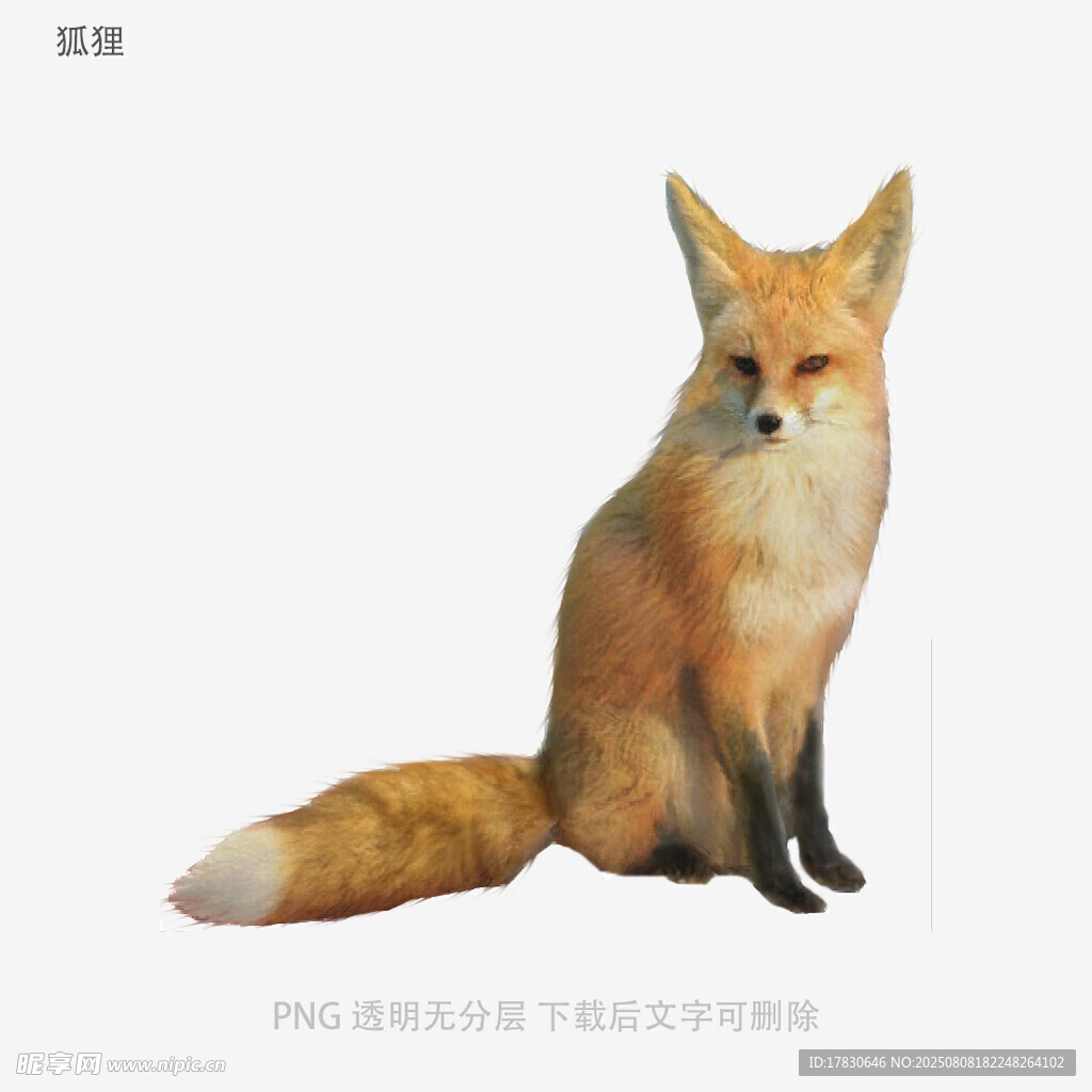 狐狸