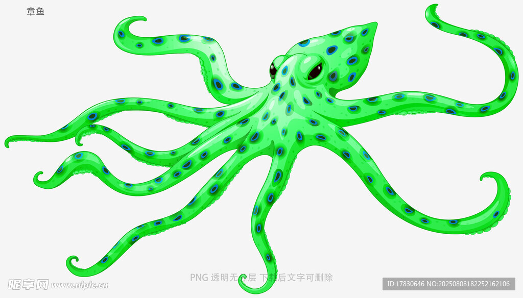 章鱼
