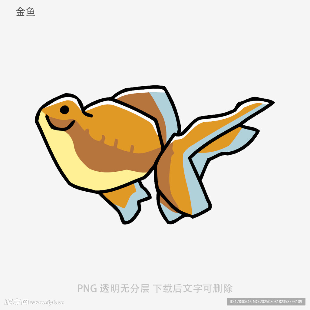 金鱼