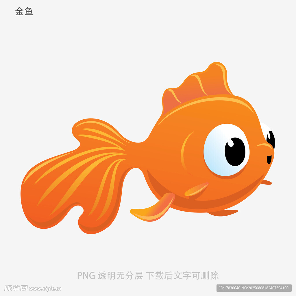 金鱼