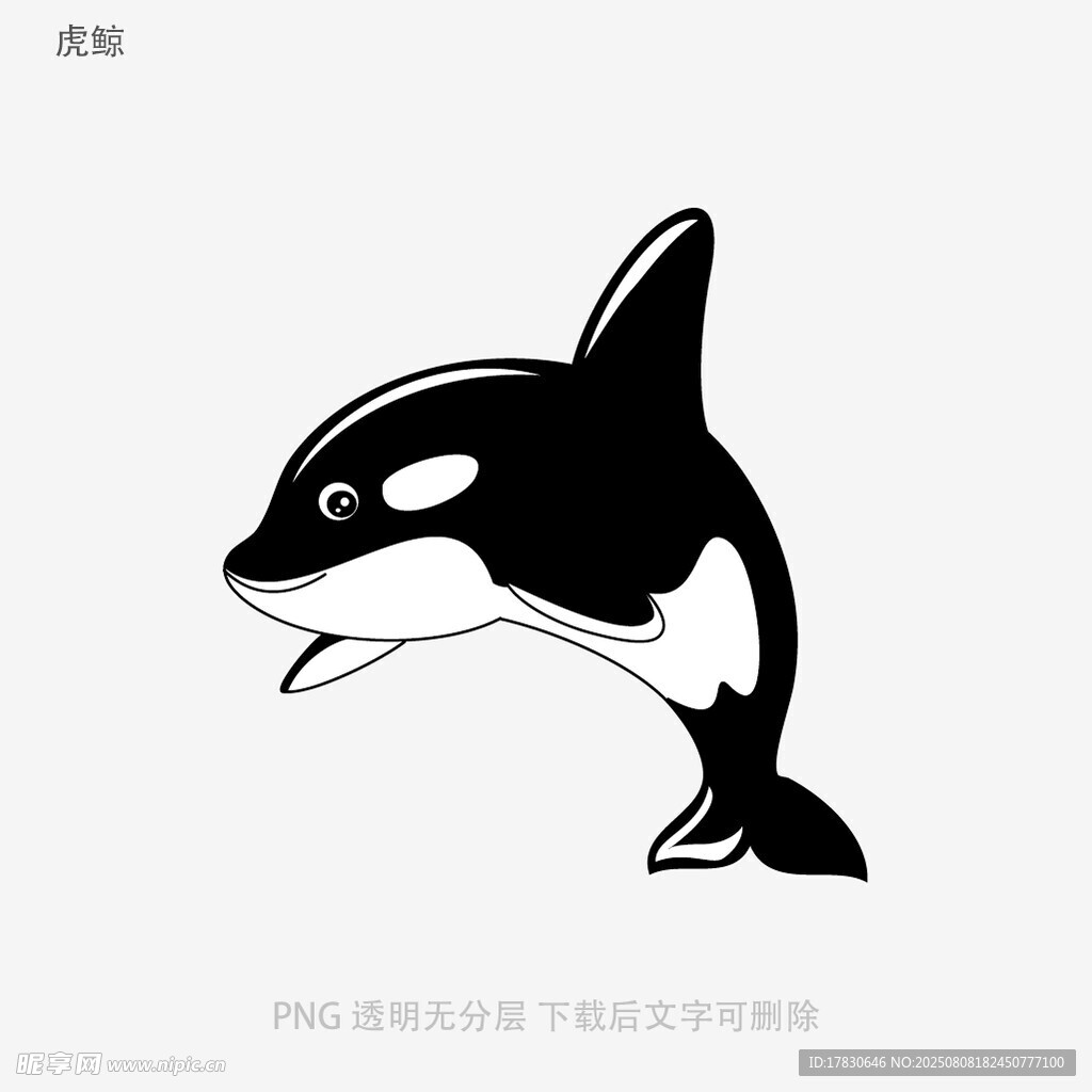 虎鲸