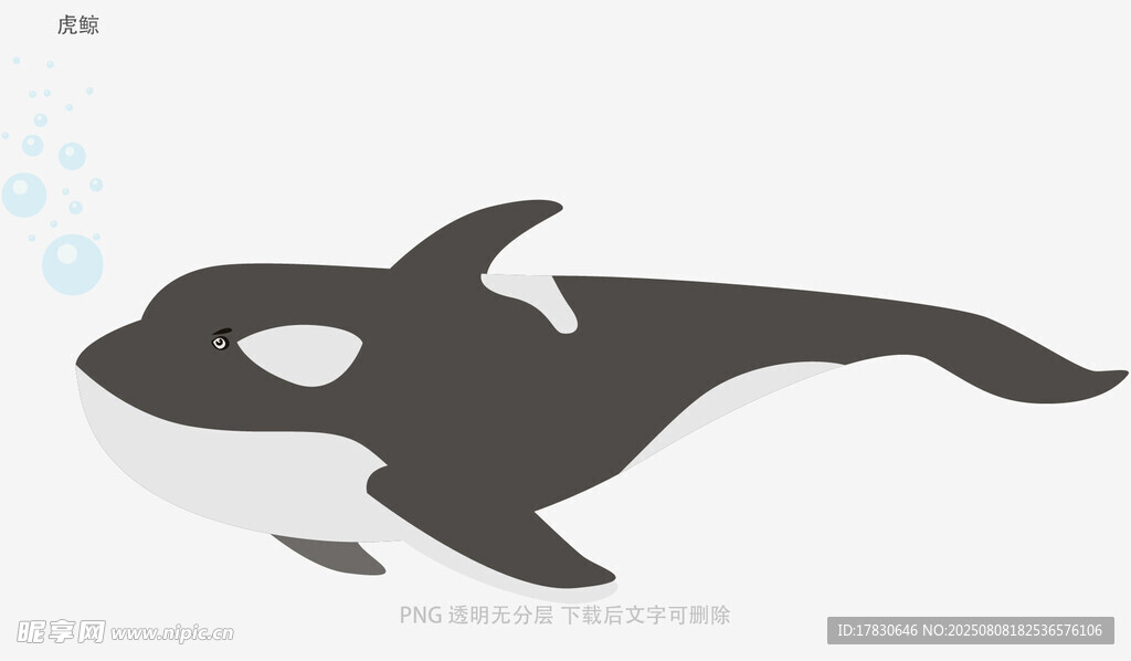 虎鲸
