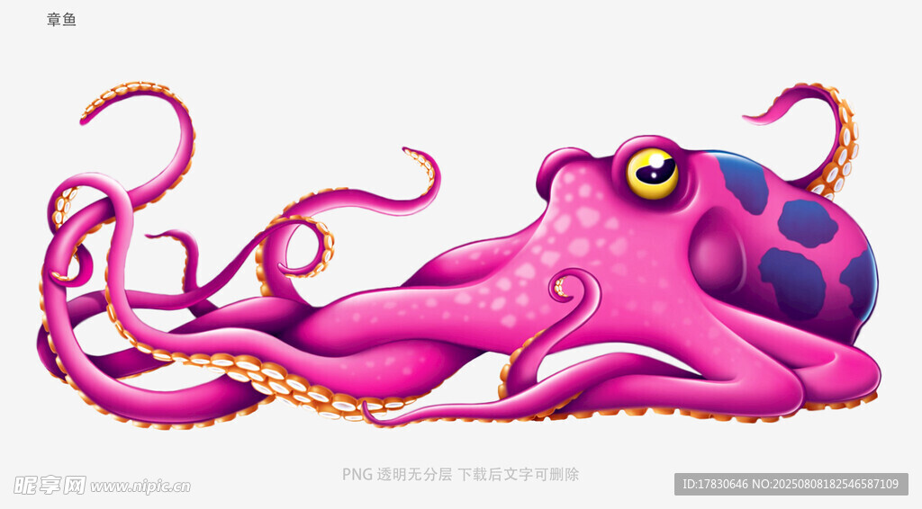 章鱼