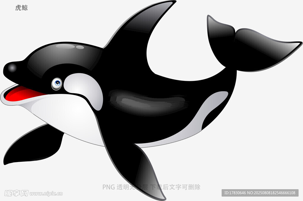 虎鲸
