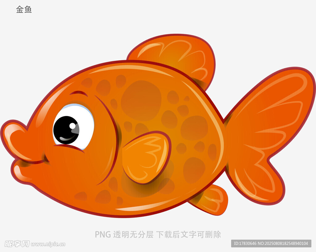 金鱼