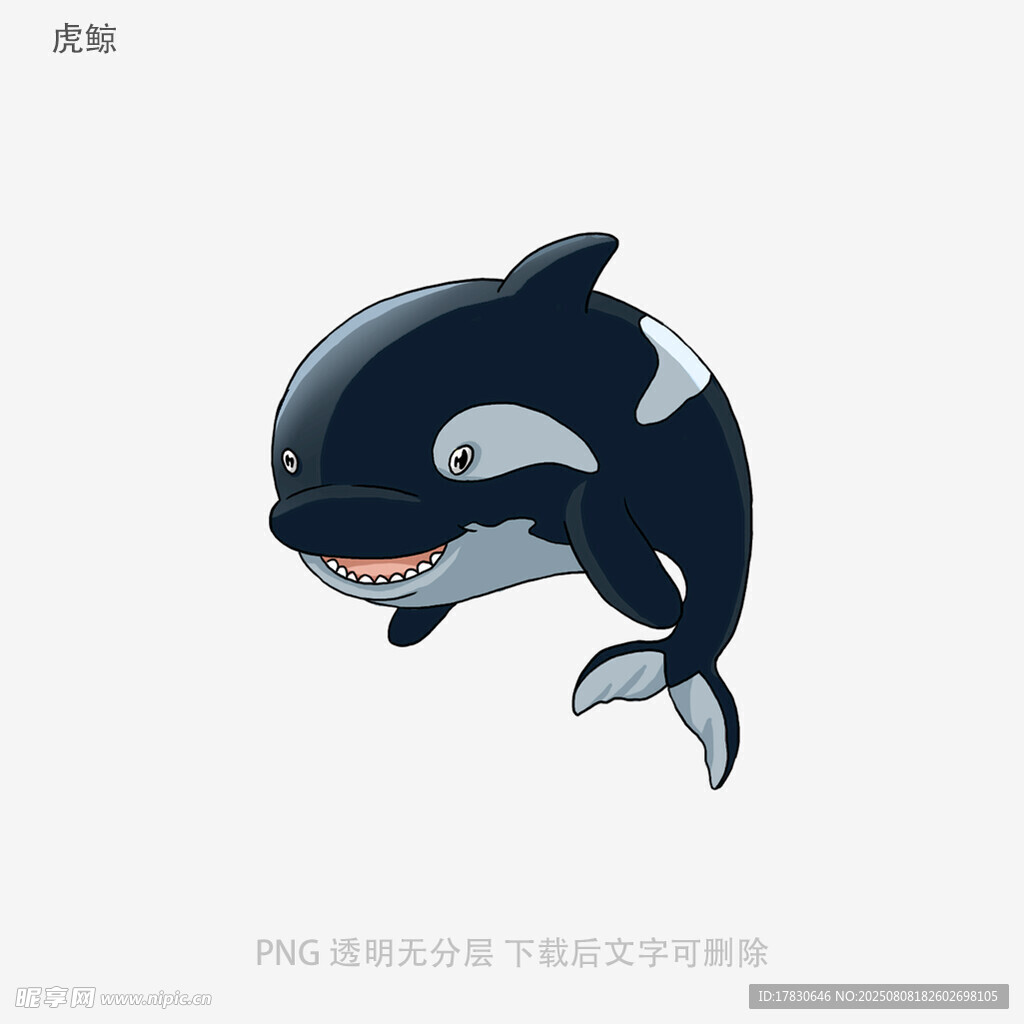 虎鲸