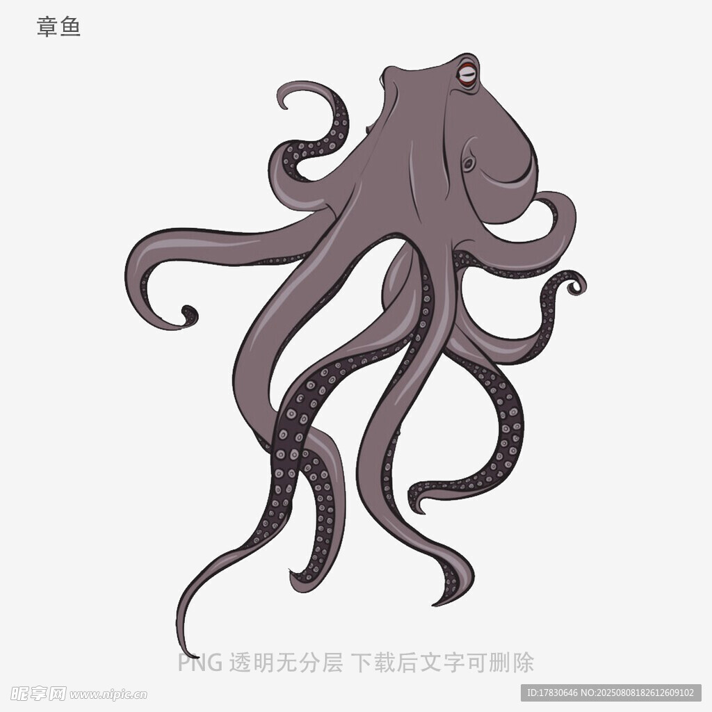 章鱼