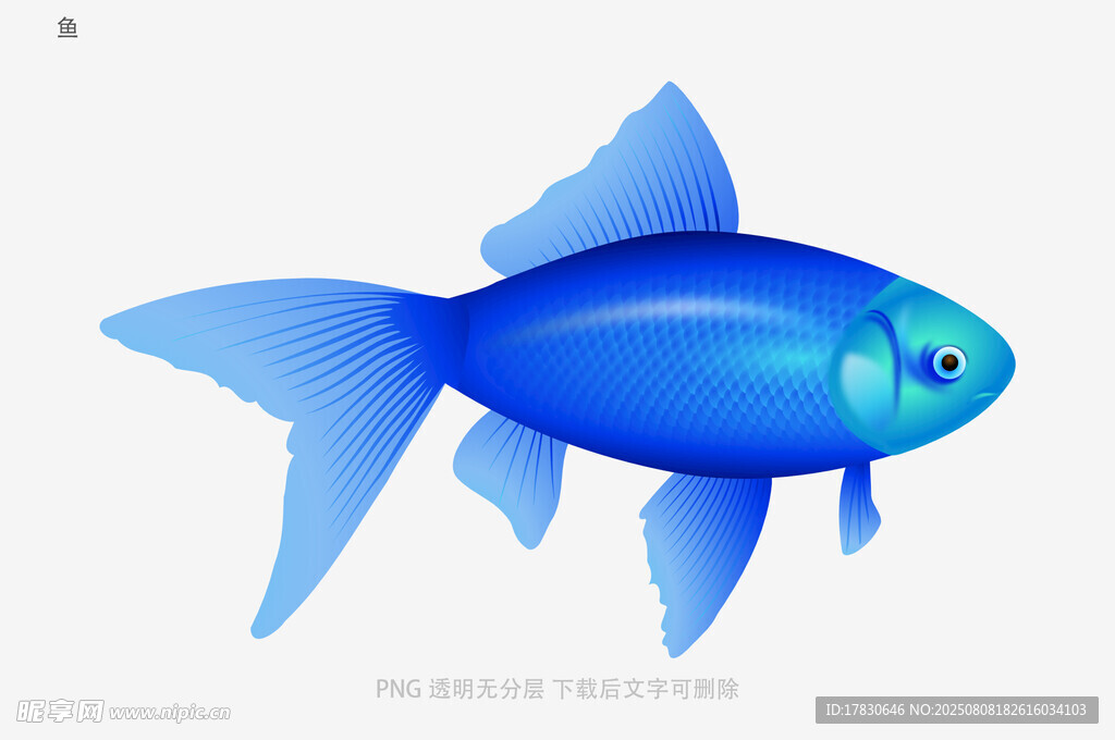 鱼
