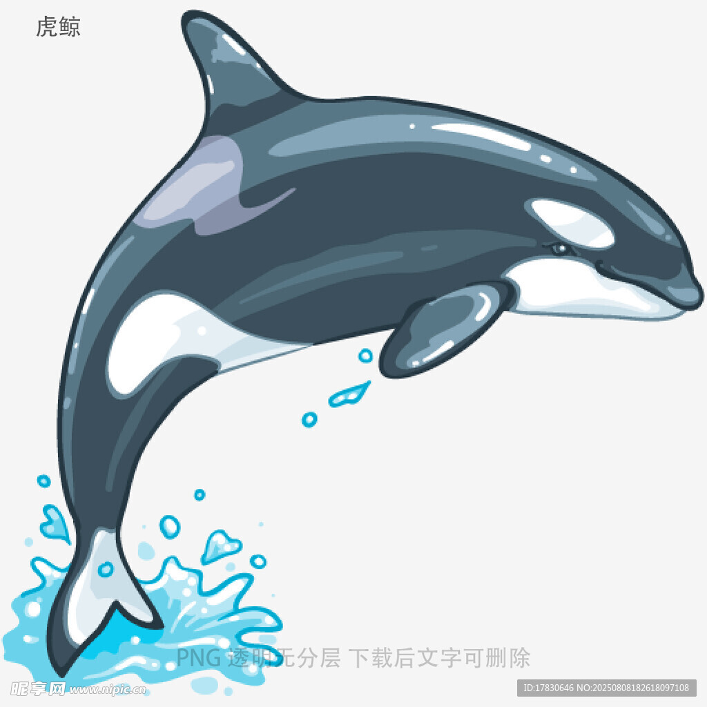 虎鲸