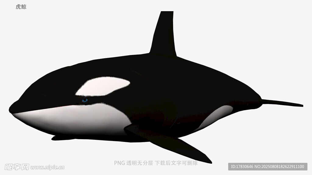 虎鲸