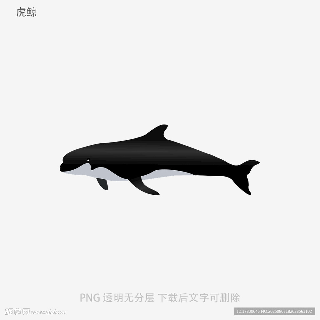虎鲸