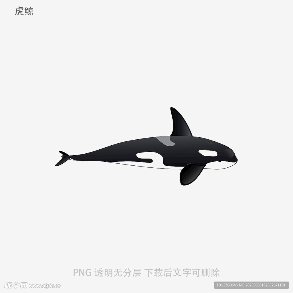 虎鲸