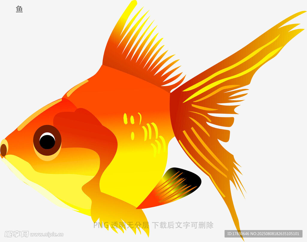 鱼