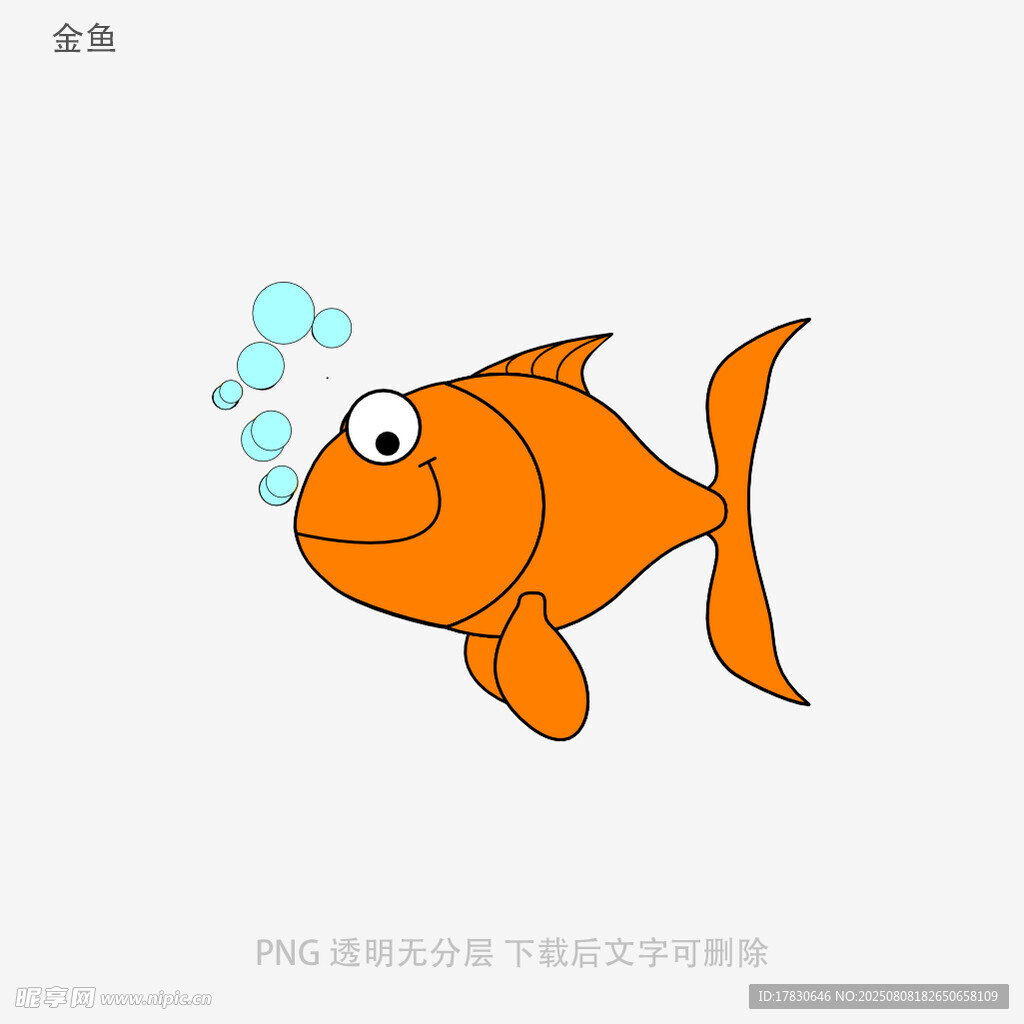 金鱼