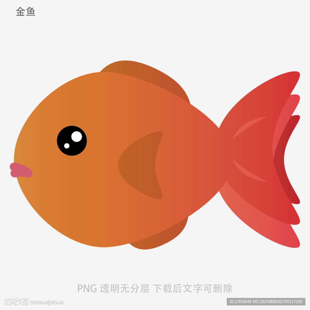 金鱼