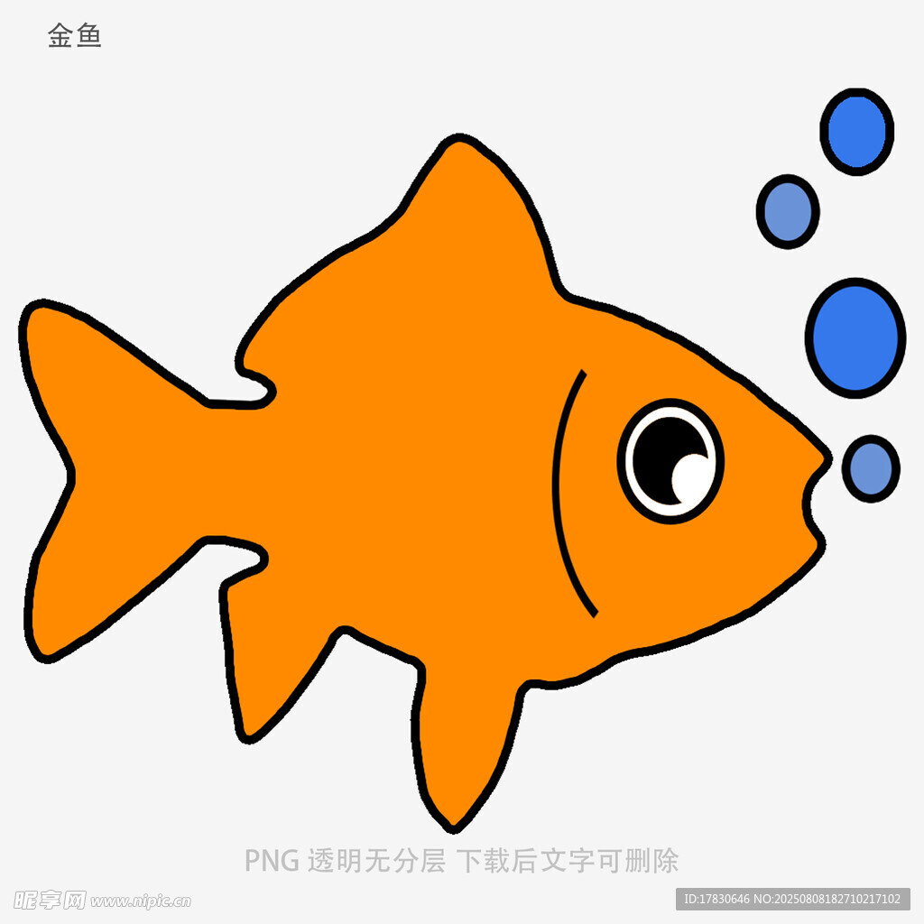 金鱼